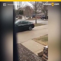 Broma con paquetes de Amazon