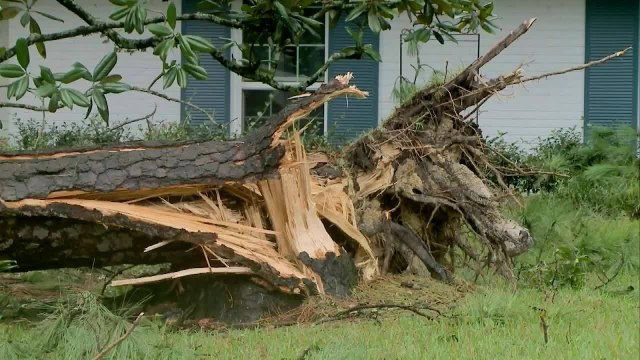 Despierta Orlando 090121