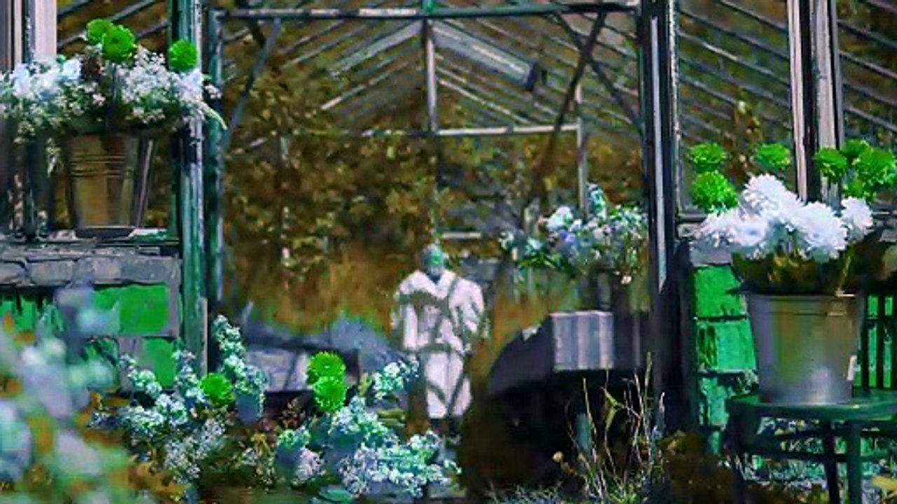 Chlorophyll [Adobe Premiere Pro Colors Preset] [WWW.ETOILE.APP]