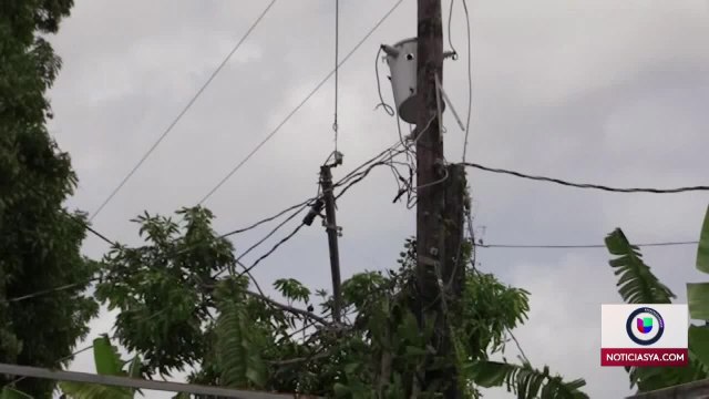 Noticias Orlando 11pm 090321