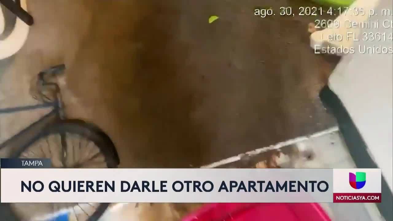 Noticias Tampa 6pm 090321