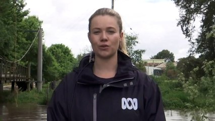 Parts of NSW Central West on flood watch amid heavy rain