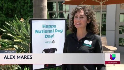 Noticias San Diego 6pm 082621