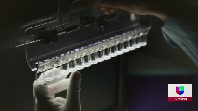 FDA aprueba completamente la vacuna contra COVID-19 de la farmacéutica Pfizer