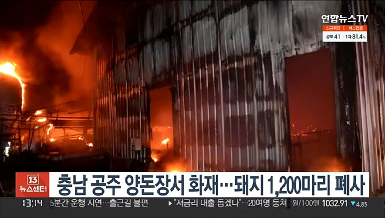 충남 공주 양돈장서 화재…돼지 1,200마리 폐사