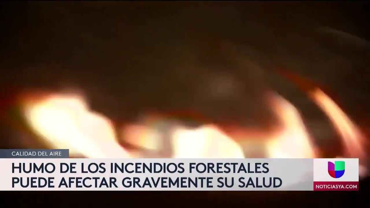 El humo de los incendios forestales puede afectar gravemente su salud