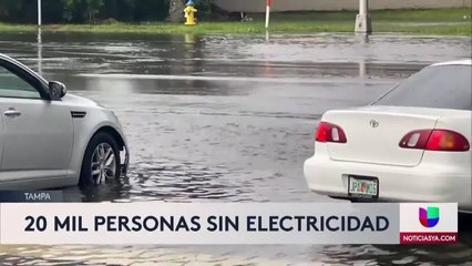 Ferretti- Efectos Elsa Tampa