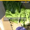 Las granjas están desperdiciando mil millones de toneladas de alimentos y eso es un desastre para el clima