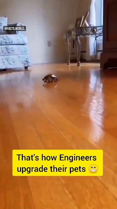 That's how engineer upgrades their pet