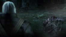 Battle with Striga - Geralt Vs Striga  - THE WITCHER 1