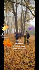 Jeudi 11 novembre autour. De Provins dans le brouillard mais heureux