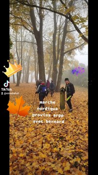 Jeudi 11 novembre autour. De Provins dans le brouillard mais heureux