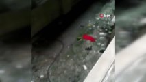 Fuhuş baskınında Azeri kadınlar balkondan atlayıp kaçmaya çalıştı