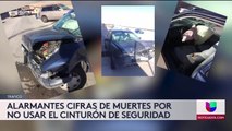 Alarmantes cifras de muertes por no usar el cinturón de seguridad