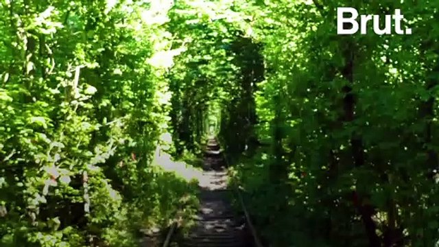 Le tunnel de l'amour, paysage bucolique en Ukraine