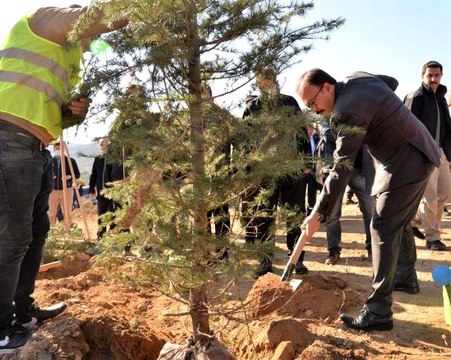 'Söğüt Ertuğrul Gazi' ve 'Domaniç Hayme Ana' adı verilen fidanlar toprakla buluştu