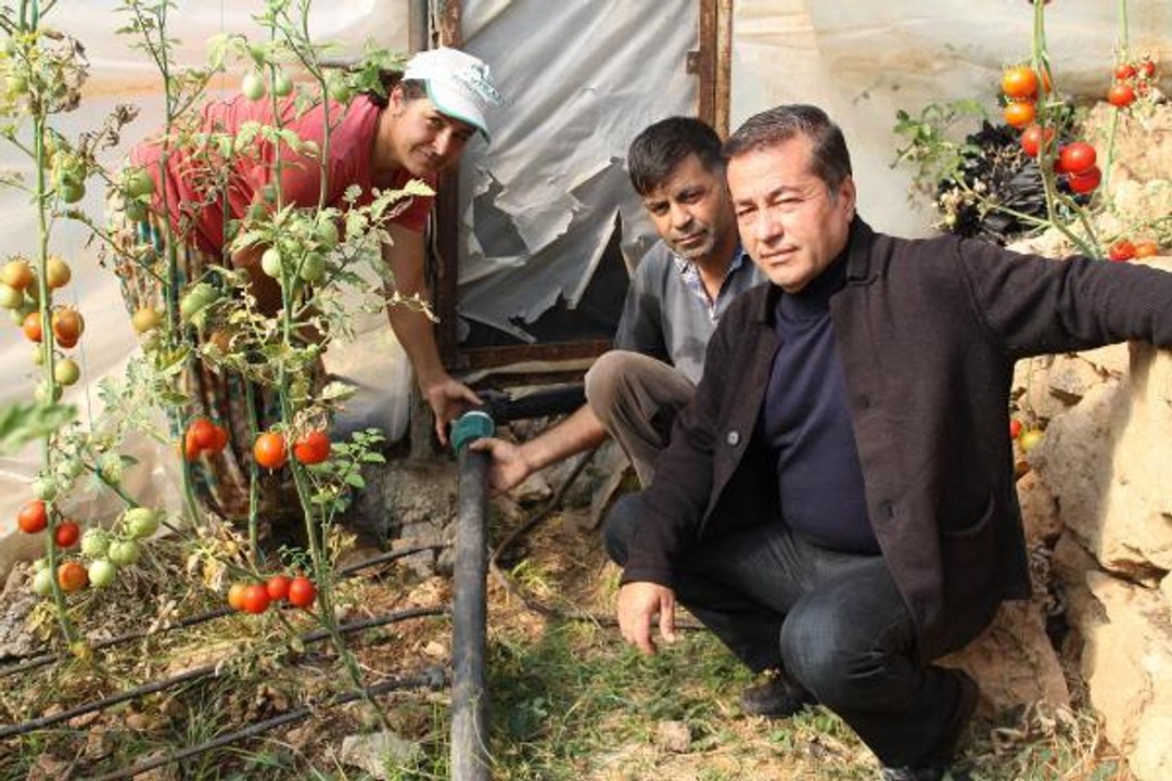 HIRSIZLAR SULAMA VANALARINI ÇALDI, 300 DÖNÜM SERA VE BAHÇE SUSUZ KALDI