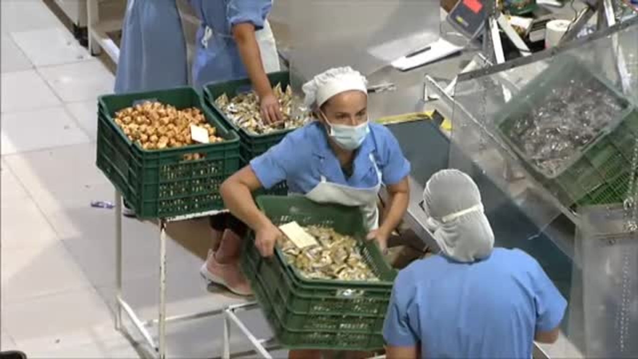 La Comisión Europea recorta 1'6 puntos la previsión de crecimiento de España