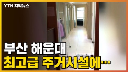 [자막뉴스] 고가 외제 차·요트·명품가방...호화생활 누린 이들의 정체 / YTN