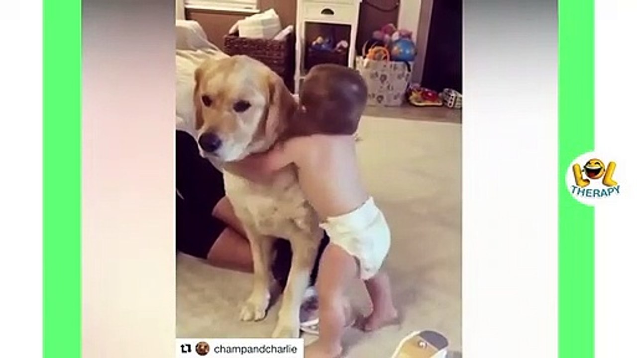 Funny Babies Laughing Hysterically at Dogs Compilation  dogs and babies laughing