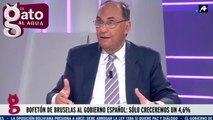 Vidal-Quadras sobre el BBVA: 'Es un desastre en temas de ciberseguridad y en trato al cliente'