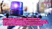 Joggeuse disparue en Mayenne : un suspect en garde à vue relâché