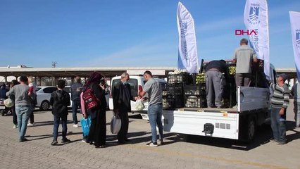 "Tonlarca ürünüm bahçede kaldı" diyen üreticiye belediye el uzattı! 30 ton limonu satın alıp bedava dağıttılar