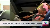 Prevencion de muertes accidentales de ninos a causa del calor