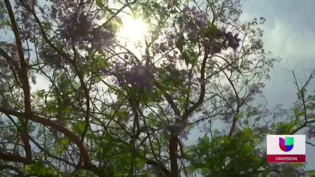 Noticias Palm Springs 11pm 061821