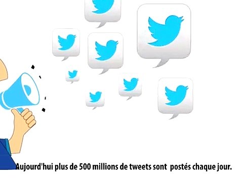 Présentation de Scoopnest en Français