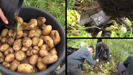 Un repas local et bio au lycée agricole de Blois