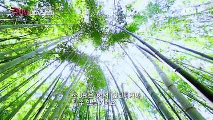 극한직업 - Extreme JOB_자연이 준 건강한 선물, 대나무 숯 침대와 이동식 사우나_#001