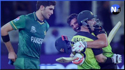 Your Weekend in 60 seconds - England vs Albania preview, and a look ahead at the Royal British Legion Festival of Remembrance