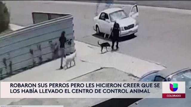 Noticias Colorado 5pm 053121