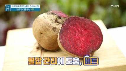 한의사의 식단 속 강렬한 붉은빛! 혈압 관리 돕는 '비트'