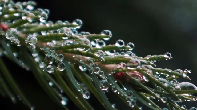 Calming Piano Music with Rain _ Relaxing Sleep Music with Rain Sounds _ Peaceful Music