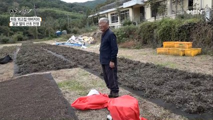 '잔소리 폭격' 산초 박사님과 일등 일꾼 셋째 딸의 산초 농사!