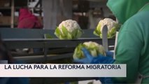 BENEFICIADOS DE DACA