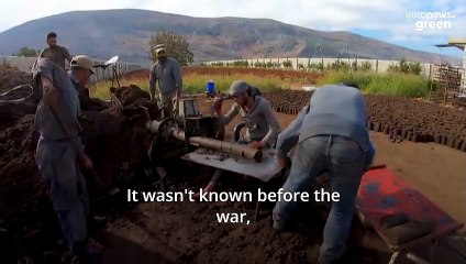 Olive waste is being turned into clean fuel to power homes in Syria