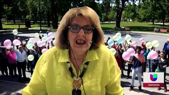 071121 VACUNACION LENTA EN LAWRENCE Y CHELSEA.mp4