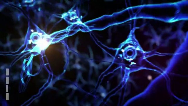 Alzheimer, cosa sappiamo di cause e terapie e come fare prevenzione