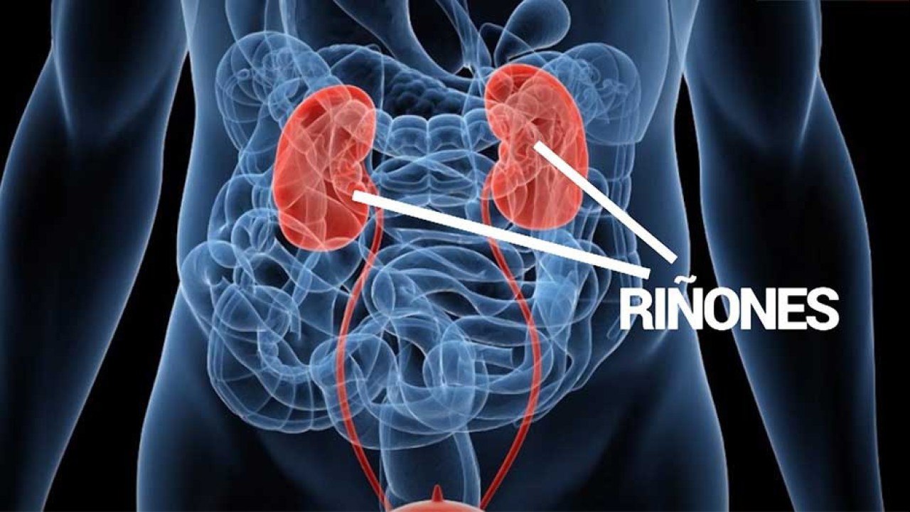 bd-relacion-entre-enfermedad-renal-cronica-y-diabetes-121121