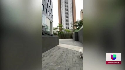 "Unidos de continente a continente": Familia de El Paso dividida por el COVID-19