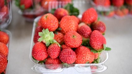 Continúa en aumento el desperdicio de alimentos en el mundo