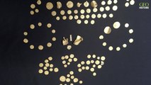 Royaume-Uni : le plus grand trésor anglo-saxon de pièces de monnaie découvert dans le Norfolk