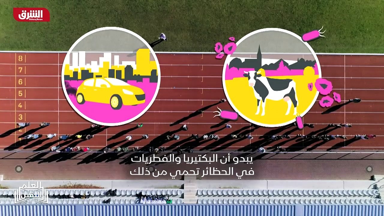 ...سية أقل . يبدو أن البكتيريا والفطريات في...
