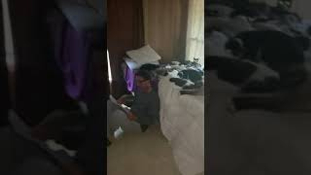 Roommate of Cat Trainer Has no Room Left on His Bed