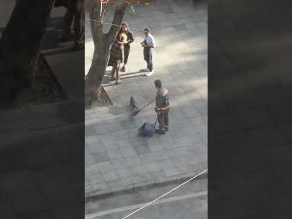 Street Sweeper Plays With Stray Kitty