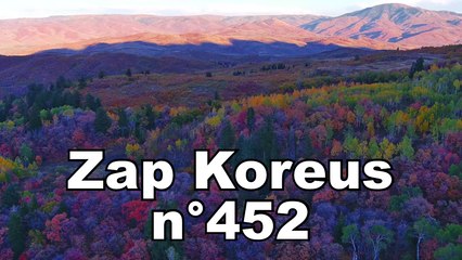 Zap Koreus n°452