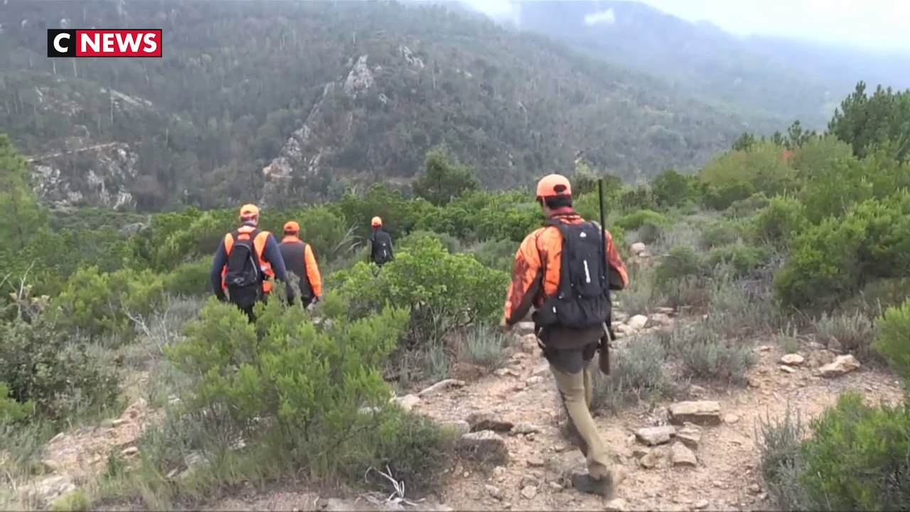 Chasse : une pétition pour une réglementation plus stricte atteint 100.000 signatures